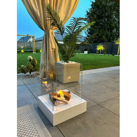 Sunset Garden , WIT